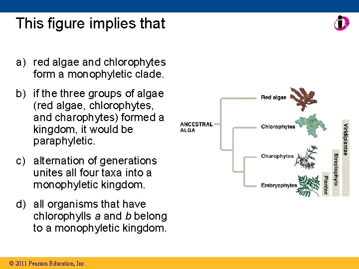 This figure implies that a) red algae and chlorophytes form a monophyletic clade. b)