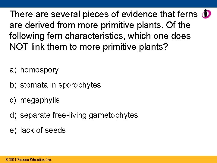 There are several pieces of evidence that ferns are derived from more primitive plants.