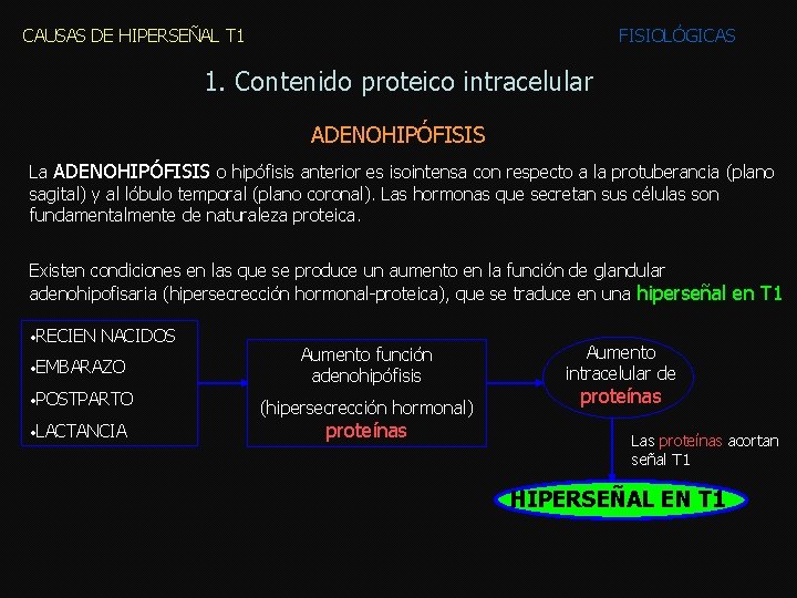 CAUSAS DE HIPERSEÑAL T 1 FISIOLÓGICAS 1. Contenido proteico intracelular ADENOHIPÓFISIS La ADENOHIPÓFISIS o