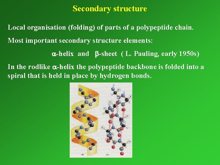 Secondary structure Local organisation (folding) of parts of a polypeptide chain. Most important secondary