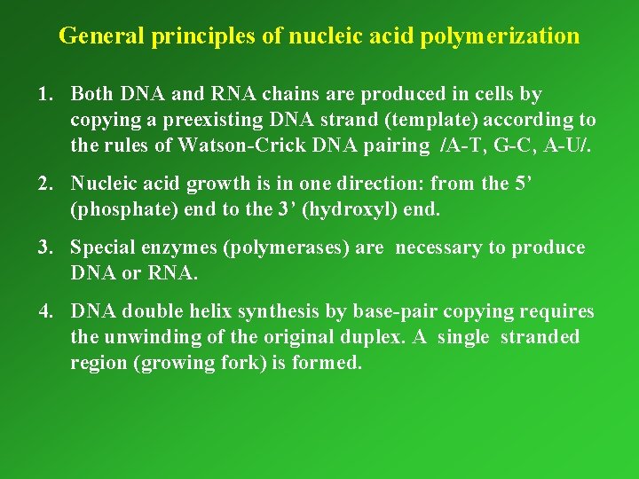 General principles of nucleic acid polymerization 1. Both DNA and RNA chains are produced