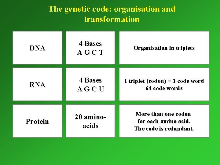 The genetic code: organisation and transformation DNA 4 Bases AGCT Organisation in triplets RNA
