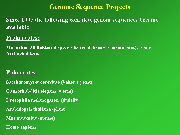 Genome Sequence Projects Since 1995 the following complete genom sequences became available: Prokaryotes: More
