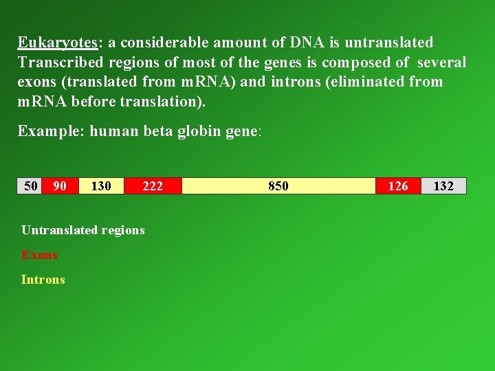 Eukaryotes: a considerable amount of DNA is untranslated Transcribed regions of most of the