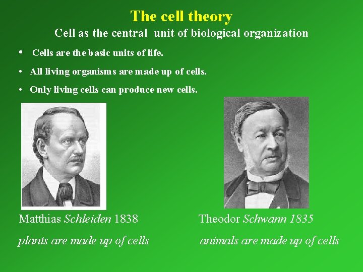 The cell theory Cell as the central unit of biological organization • Cells are