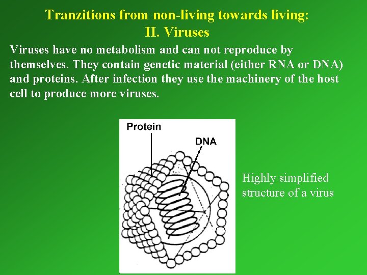 Tranzitions from non-living towards living: II. Viruses have no metabolism and can not reproduce
