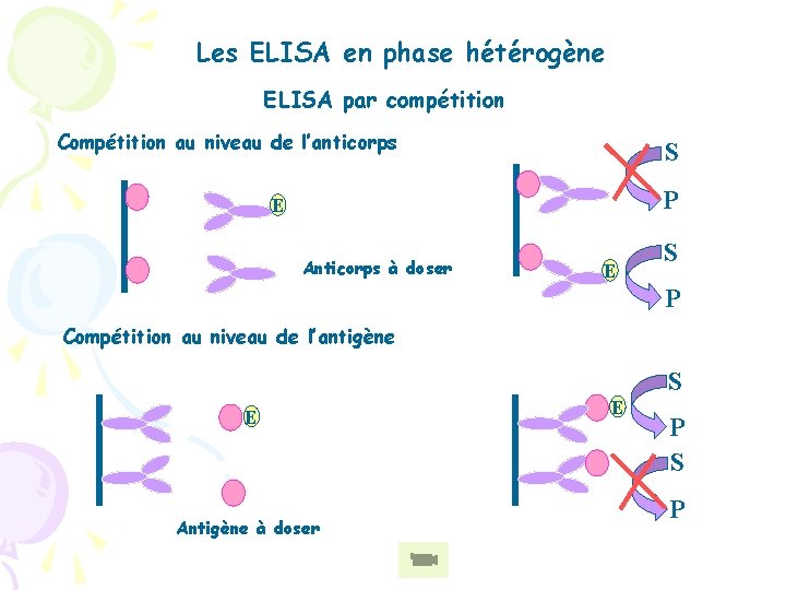 Les ELISA en phase hétérogène ELISA par compétition Compétition au niveau de l’anticorps S