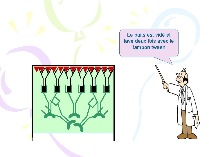 Le puits est vidé et lavé deux fois avec le tampon tween 