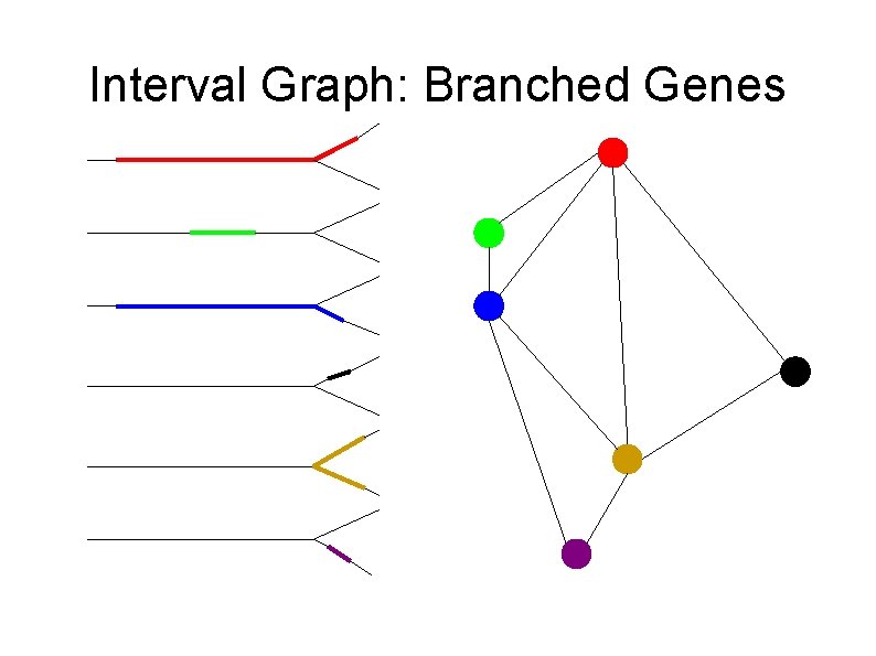 Interval Graph: Branched Genes 