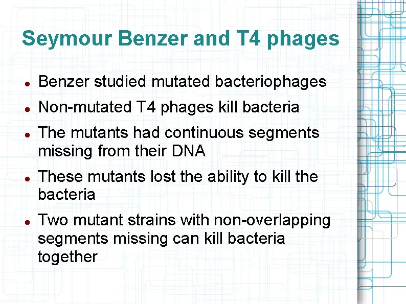 Seymour Benzer and T 4 phages Benzer studied mutated bacteriophages Non-mutated T 4 phages