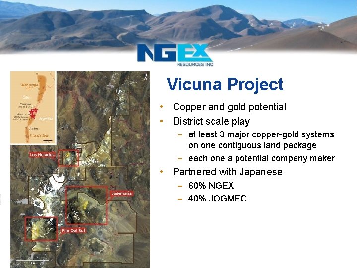 Vicuna Project • Copper and gold potential • District scale play – at least