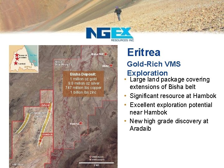 Eritrea Bisha Deposit: 1 million oz gold 9. 8 million oz silver 747 million