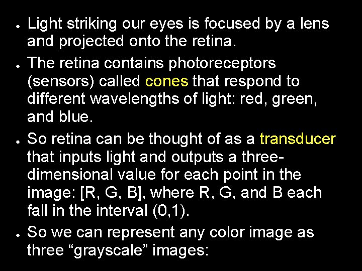 ● ● Light striking our eyes is focused by a lens and projected onto ● ● Light striking our eyes is focused by a lens and projected onto