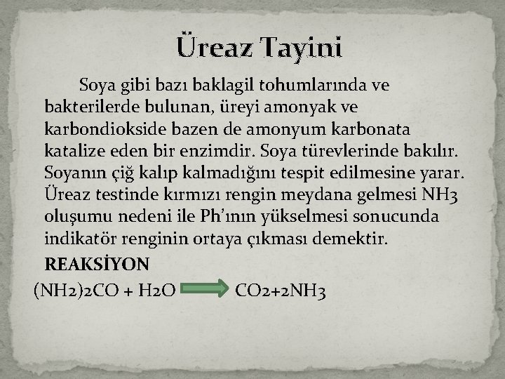 Üreaz Tayini Soya gibi bazı baklagil tohumlarında ve bakterilerde bulunan, üreyi amonyak ve karbondiokside