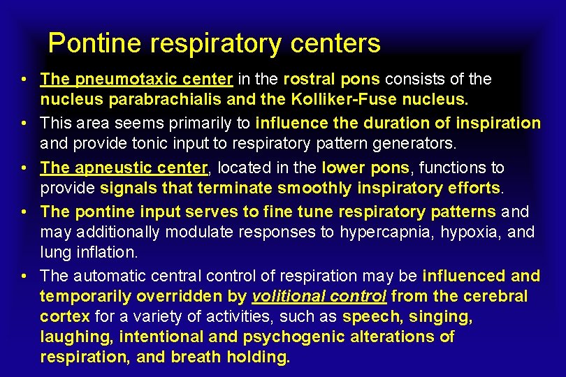 Respiratory Physiology During Sleep BY AHMAD YOUNES PROFESSOR