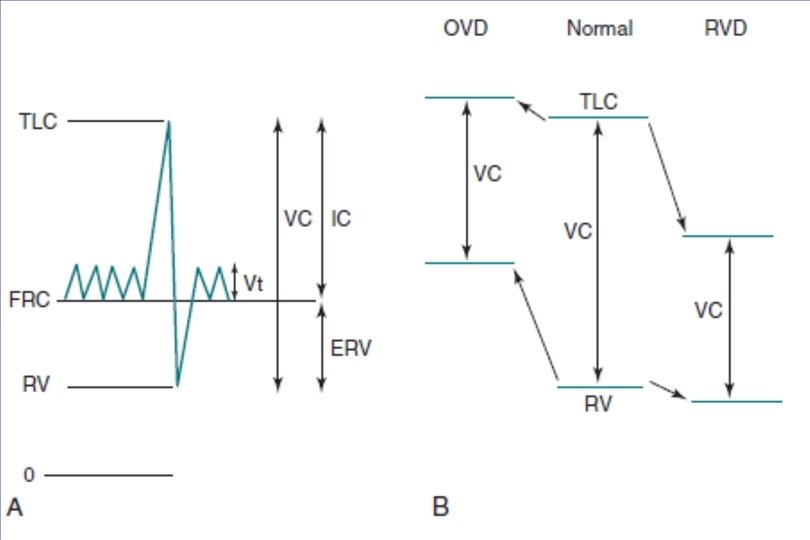 Cleaning Your Equipment 