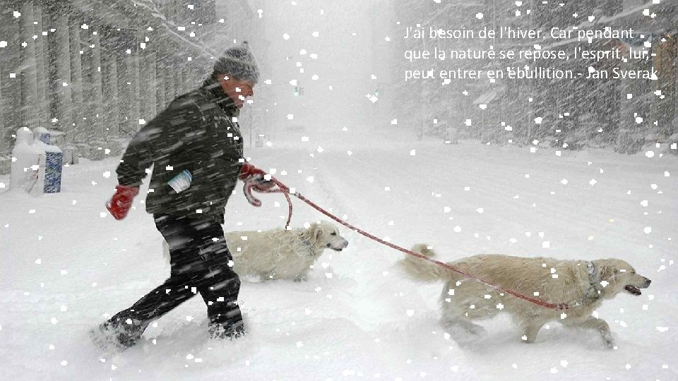 J'ai besoin de l'hiver. Car pendant que la nature se repose, l'esprit, lui, peut