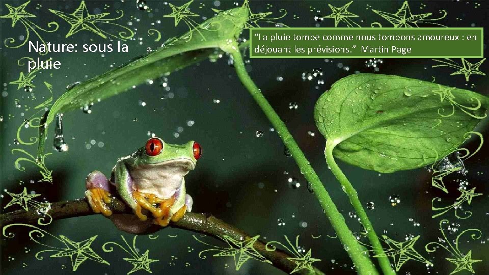 Nature: sous la pluie “La pluie tombe comme nous tombons amoureux : en déjouant