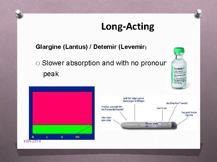 Long-Acting Glargine (Lantus) / Detemir (Levemir) O Slower absorption and with no pronounced peak