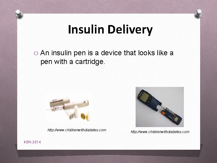 Insulin Delivery O An insulin pen is a device that looks like a pen