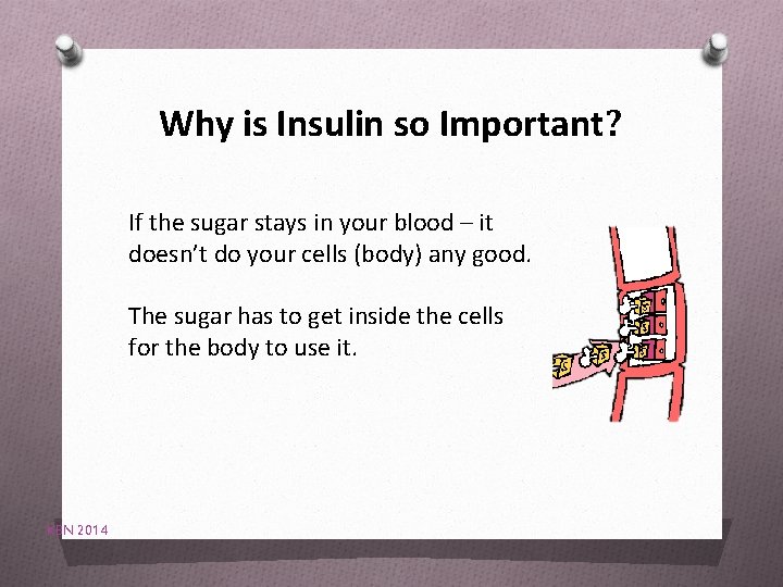 Why is Insulin so Important? If the sugar stays in your blood – it