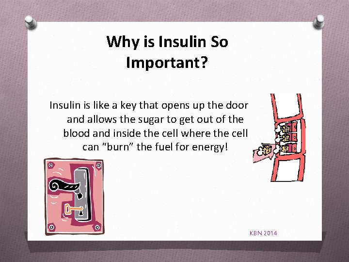 Why is Insulin So Important? Insulin is like a key that opens up the