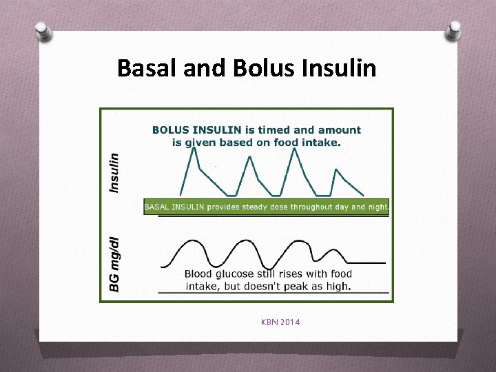 Basal and Bolus Insulin KBN 2014 
