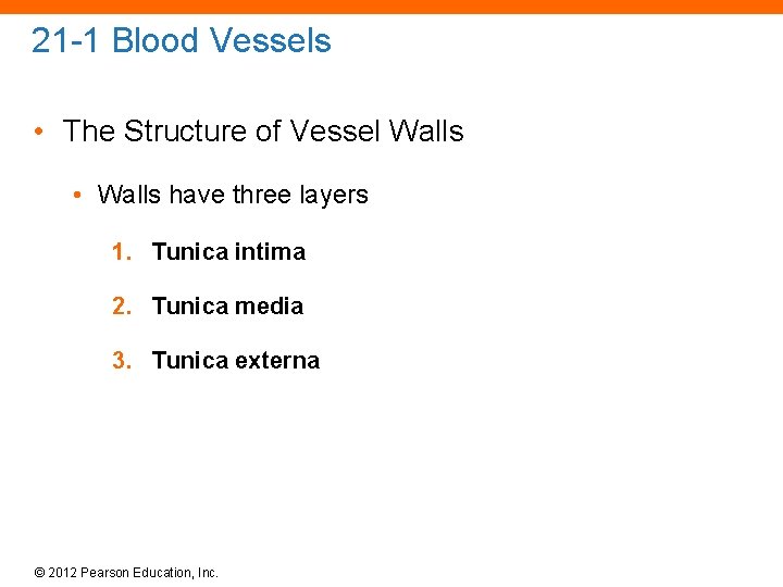21 -1 Blood Vessels • The Structure of Vessel Walls • Walls have three