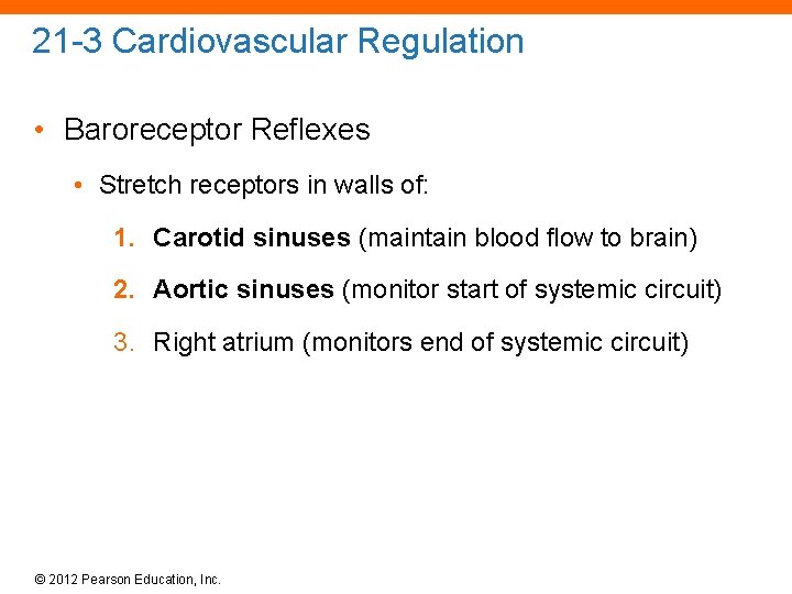 21 -3 Cardiovascular Regulation • Baroreceptor Reflexes • Stretch receptors in walls of: 1.