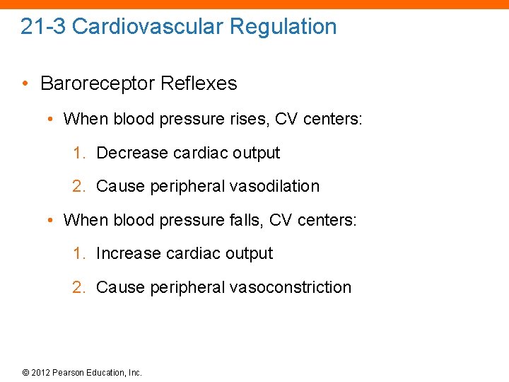 21 -3 Cardiovascular Regulation • Baroreceptor Reflexes • When blood pressure rises, CV centers: