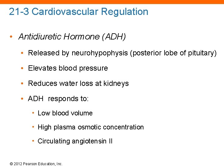 21 -3 Cardiovascular Regulation • Antidiuretic Hormone (ADH) • Released by neurohypophysis (posterior lobe