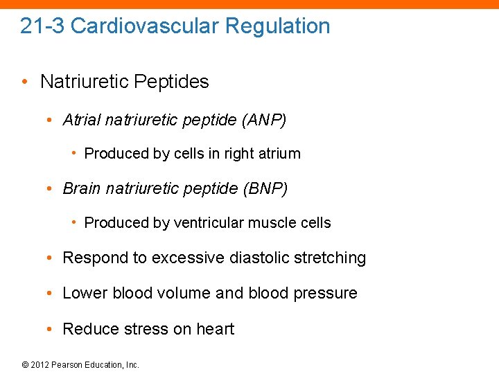 21 -3 Cardiovascular Regulation • Natriuretic Peptides • Atrial natriuretic peptide (ANP) • Produced
