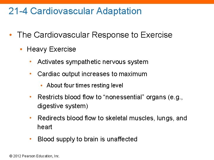 21 -4 Cardiovascular Adaptation • The Cardiovascular Response to Exercise • Heavy Exercise •