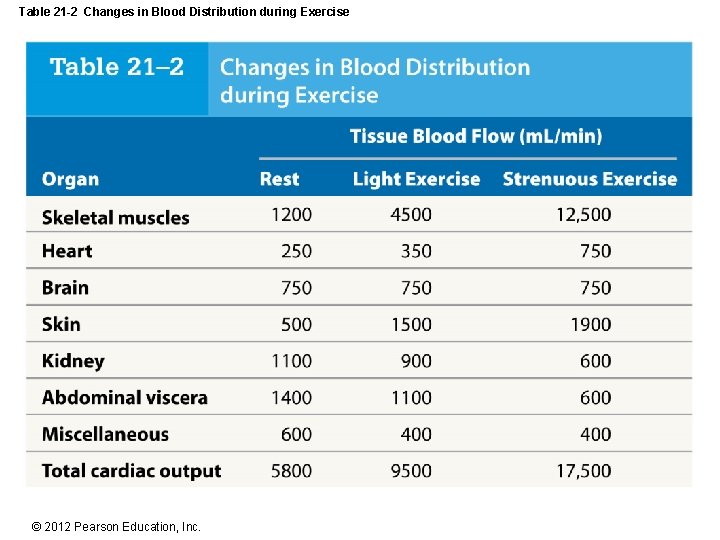 Table 21 -2 Changes in Blood Distribution during Exercise © 2012 Pearson Education, Inc.