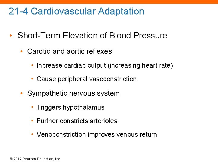 21 -4 Cardiovascular Adaptation • Short-Term Elevation of Blood Pressure • Carotid and aortic