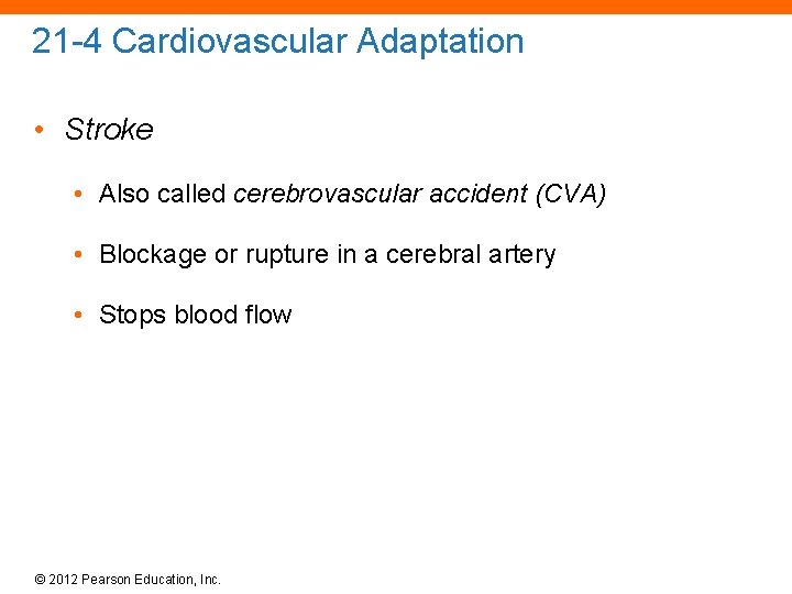 21 -4 Cardiovascular Adaptation • Stroke • Also called cerebrovascular accident (CVA) • Blockage