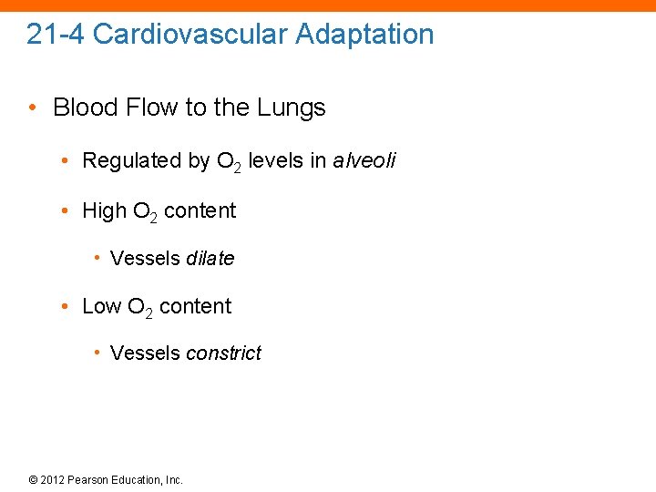 21 -4 Cardiovascular Adaptation • Blood Flow to the Lungs • Regulated by O