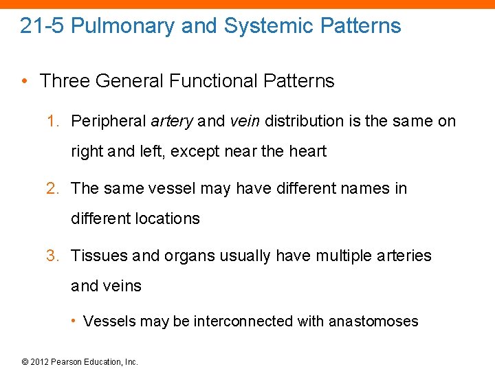 21 -5 Pulmonary and Systemic Patterns • Three General Functional Patterns 1. Peripheral artery