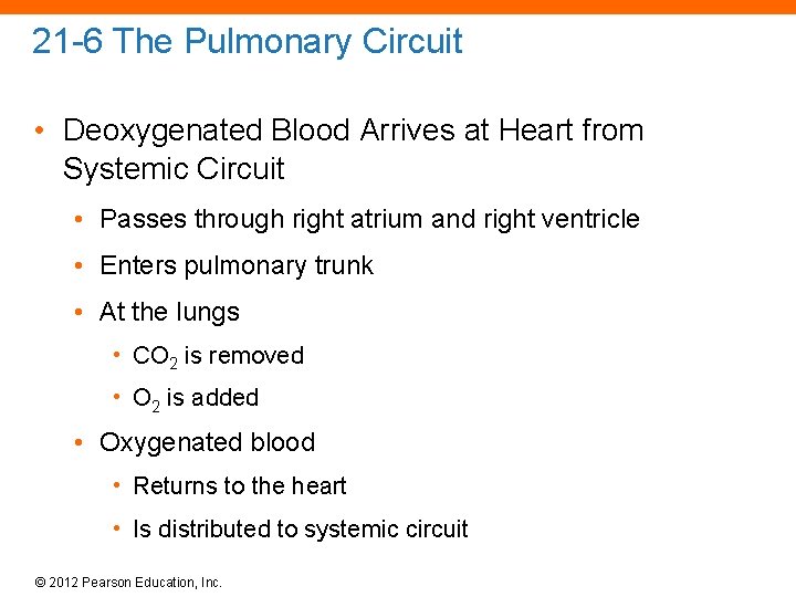 21 -6 The Pulmonary Circuit • Deoxygenated Blood Arrives at Heart from Systemic Circuit