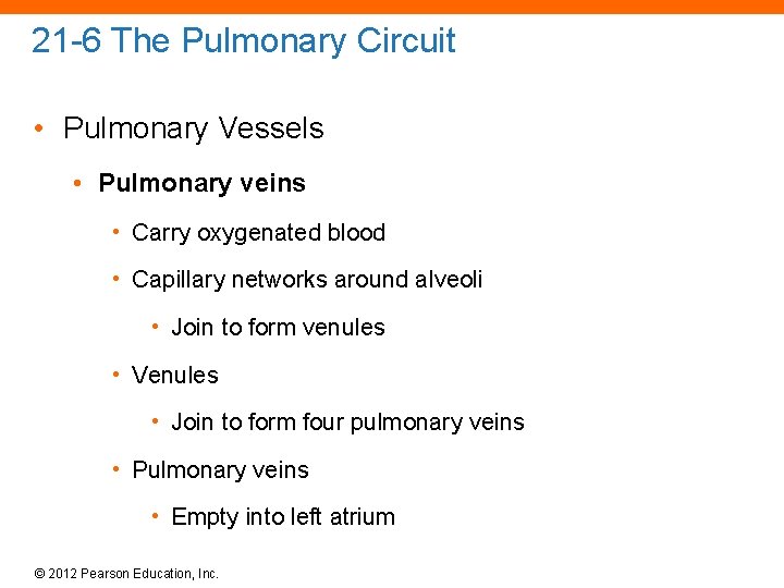 21 -6 The Pulmonary Circuit • Pulmonary Vessels • Pulmonary veins • Carry oxygenated