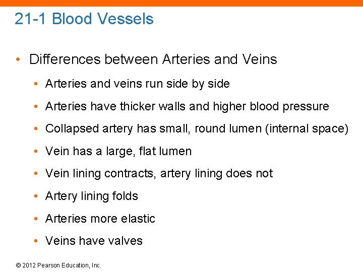 21 -1 Blood Vessels • Differences between Arteries and Veins • Arteries and veins