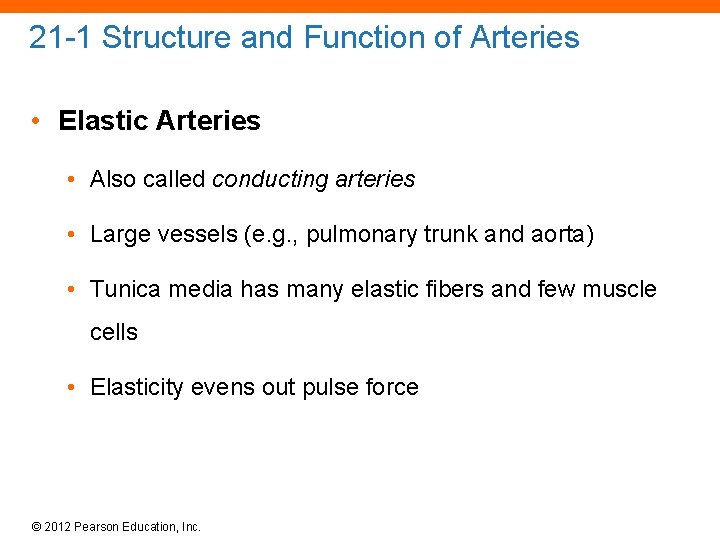 21 -1 Structure and Function of Arteries • Elastic Arteries • Also called conducting