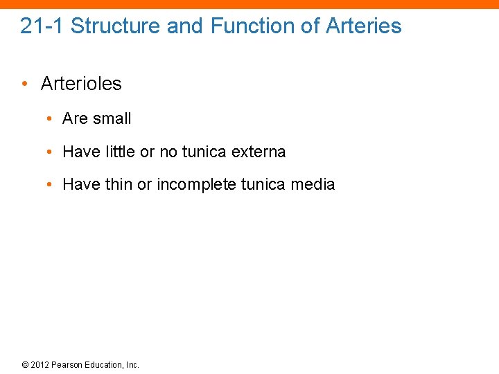 21 -1 Structure and Function of Arteries • Arterioles • Are small • Have