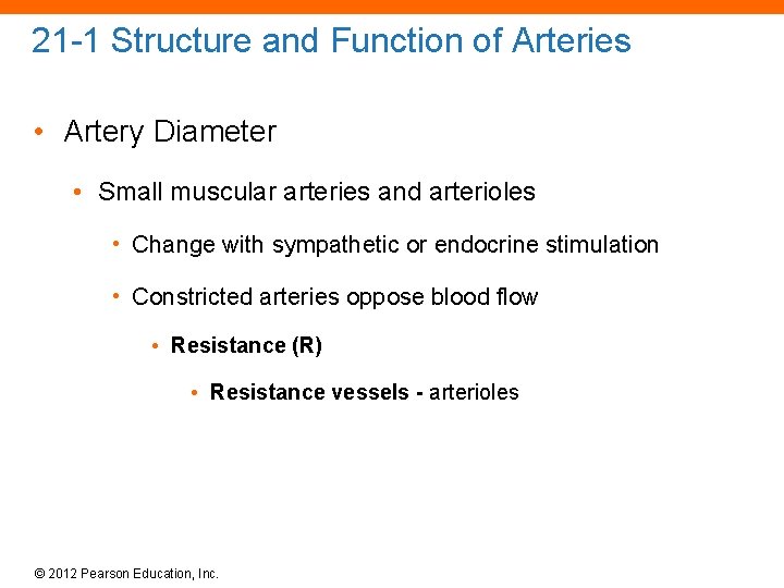 21 -1 Structure and Function of Arteries • Artery Diameter • Small muscular arteries