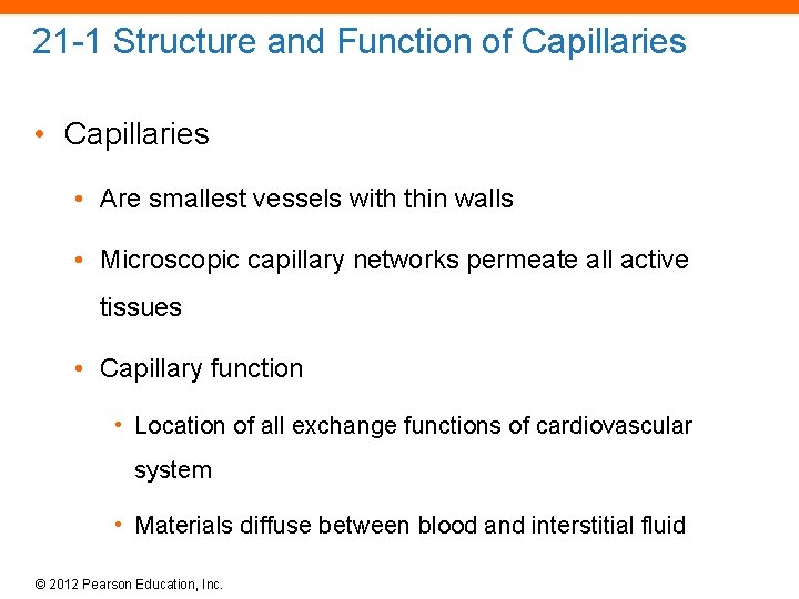 21 -1 Structure and Function of Capillaries • Are smallest vessels with thin walls