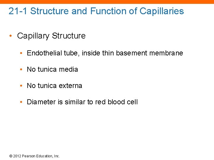21 -1 Structure and Function of Capillaries • Capillary Structure • Endothelial tube, inside