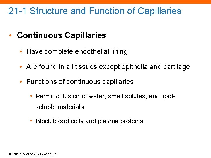 21 -1 Structure and Function of Capillaries • Continuous Capillaries • Have complete endothelial