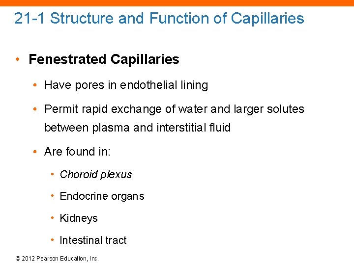 21 -1 Structure and Function of Capillaries • Fenestrated Capillaries • Have pores in