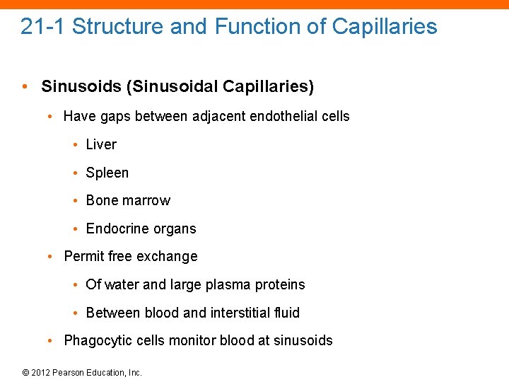 21 -1 Structure and Function of Capillaries • Sinusoids (Sinusoidal Capillaries) • Have gaps