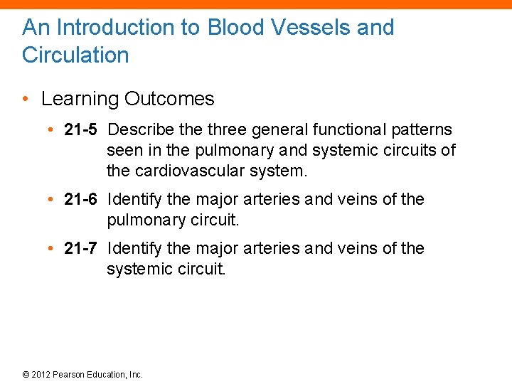 An Introduction to Blood Vessels and Circulation • Learning Outcomes • 21 -5 Describe